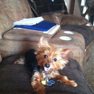 Meet your Posher, Prince